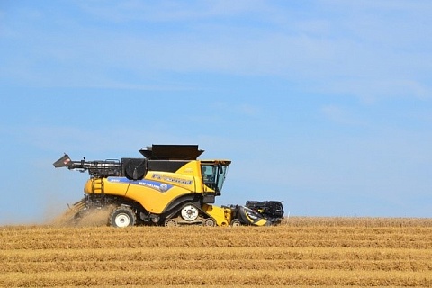 Мукомолы заявили, что Россия теряет ржаное хлебопечение