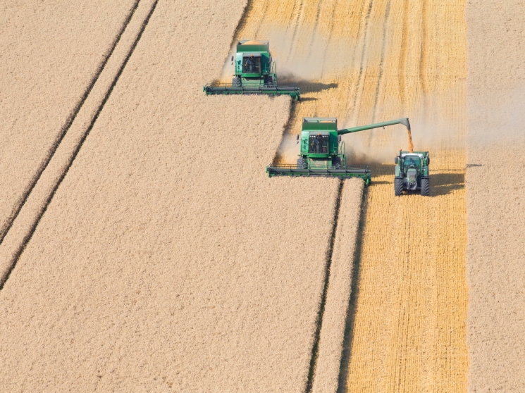 Средний урожай при рекордном севе. Валовой сбор зерна прогнозируется на уровне 119-122 млн т