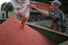 Аграрии на 10,7% увеличили закупки минеральных удобрений