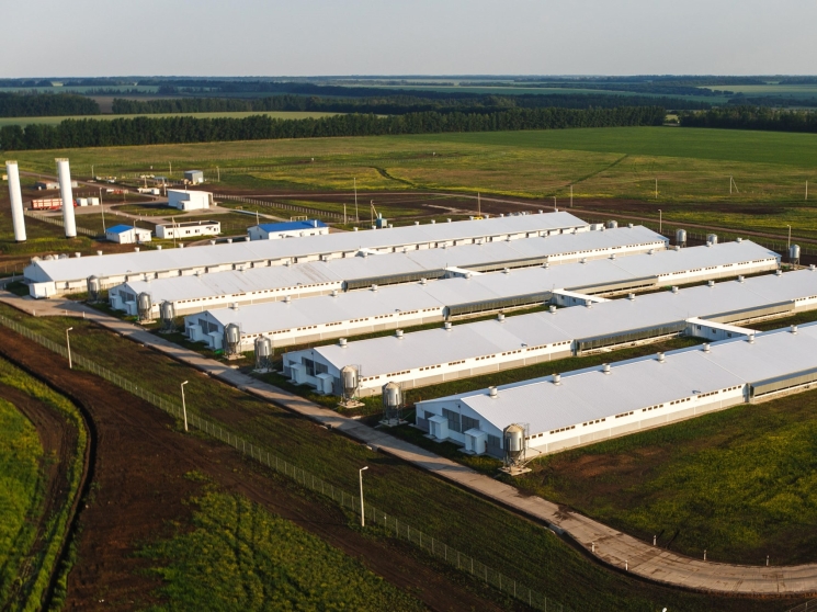 Инерционно-выжидающие инвестиции. В АПК заявляются новые крупные проекты, но компании рассчитывают на снижение стоимости кредитов