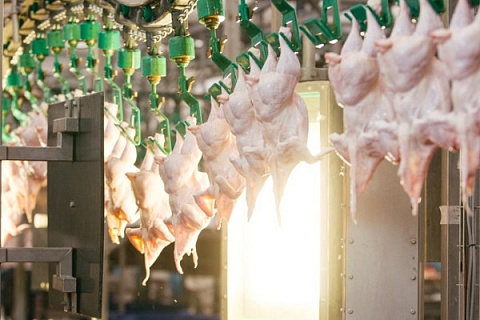 Саудовская Аравия изменит требования сертификации халяль для ввозимого мяса