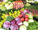 Валовый сбор тепличных овощей с начала года составил около 94 тыс. тонн