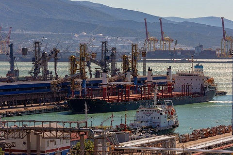 В прошлом году НЗТ перевалил на экспорт почти 5,5 млн тонн зерна