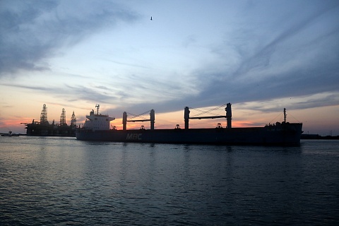 За девять месяцев сезона-2025/26 Россия экспортировала почти 37,8 млн тонн пшеницы