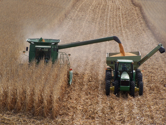 Минсельхоз рассчитывает на хороший урожай зерновых в этом году