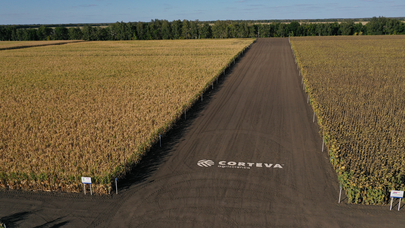 Corteva Agriscience увеличила площадь под производство семян в России на 42%