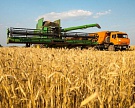 «Мираторг» начал уборку ранних зерновых