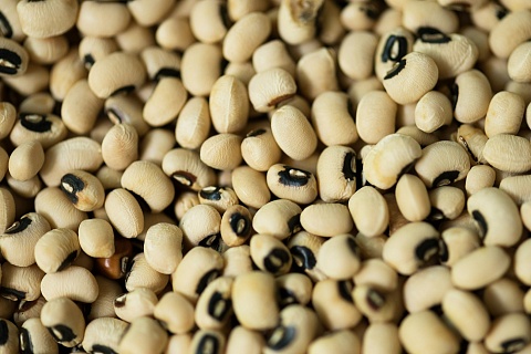 Масложировой союз: пошлины на экспорт льна и сои нужно увеличить