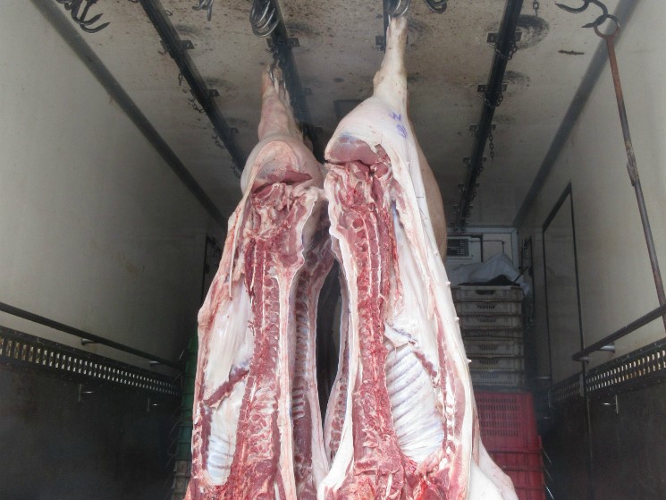 Россия может начать поставки свинины на Филиппины