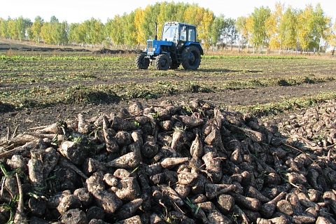 «Продимекс» завершил переработку сахара-сырца