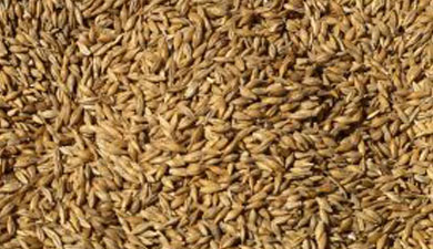 Курганская обл. собрала рекордные 2,6 млн т зерна
