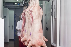 Экспорт свинины вырос в 1,5 раза