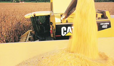 Собрано 90 млн т зерна, сообщил Росстат