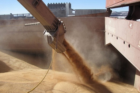 Спрос на зерно из госфонда снижается