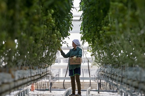 Представители агробизнеса вошли в рейтинг работодателей