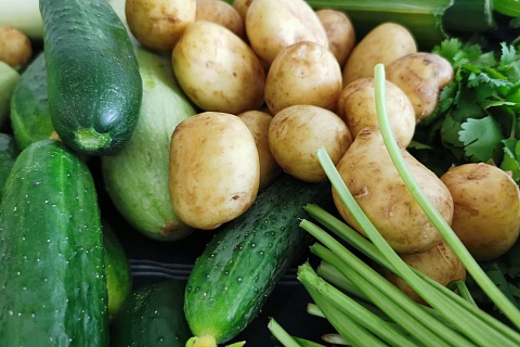 Правительство поддержит малый бизнес для снижения цен на овощи