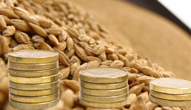 Финансовое состояние зернопроизводителей за последние годы ухудшилось