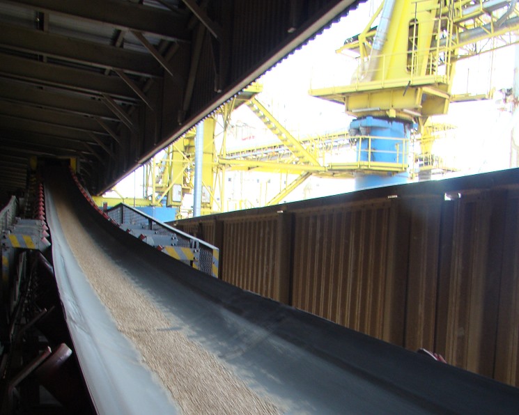 Минсельхоз оценивает экспортный потенциал зерна в 2026 году в 55 млн тонн