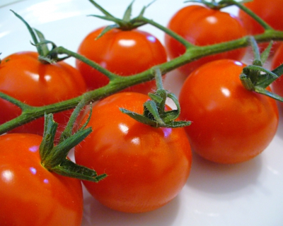 Выведены томаты с усиленным вкусом