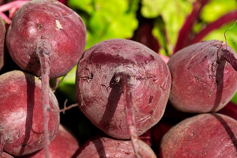 Овощи «борщевого набора» в 2025 году подешевели в торговых сетях на 28%