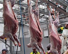 Россельхознадзор запретил мясо из Казахстана