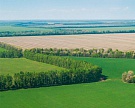 Калининградская область увеличила площадь сельхозземель на 35 тыс. га