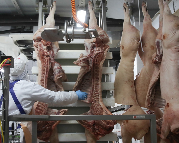 Китай разрешил поставки свинины из России спустя 15 лет