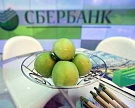 Льготное кредитование для аграриев под 5% заработает в 2017 году