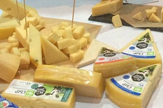 «АгриВолга» создает сырный кластер