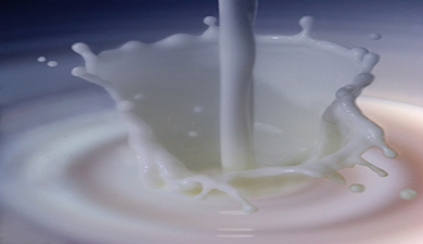 Сырое молоко должно стоить 12 руб./л