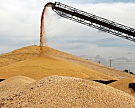 В 2015 году в мире будет собрано 2527 млн тонн зерна