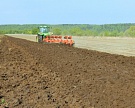 Почти 2 тысячи новых инвестпроектов в АПК получили одобрение