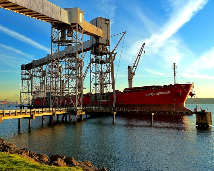 Вывоз пшеницы в апреле может достигнуть 3,8 млн тонн