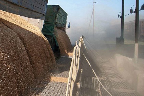 Экспорт пшеницы в июне может обновить рекорд