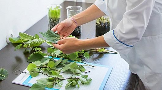 Крупнейший российский производитель средств защиты растений открыл агролабораторию в Ставрополе