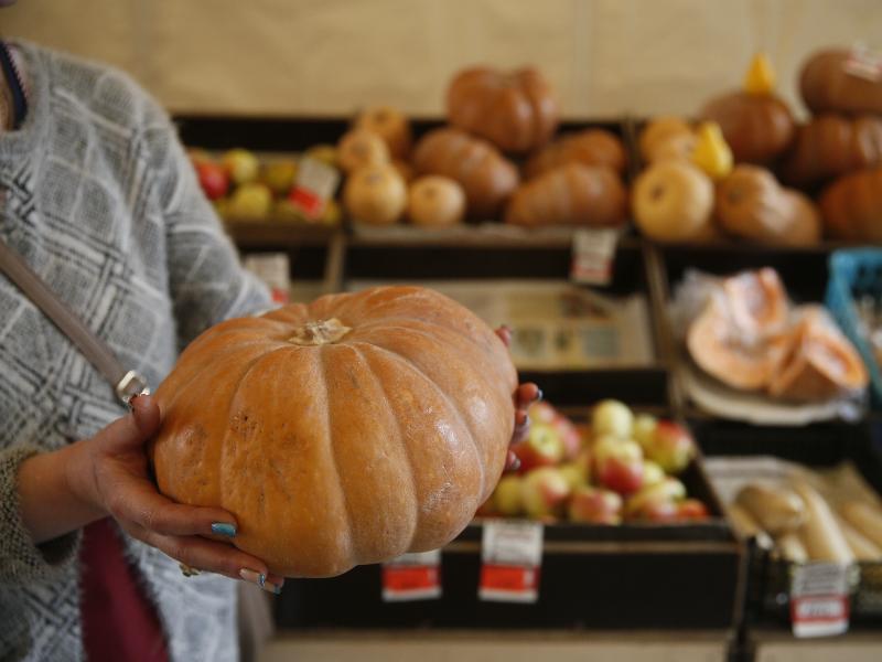 Минсельхоз рассчитывает увеличить господдержку малого агробизнеса