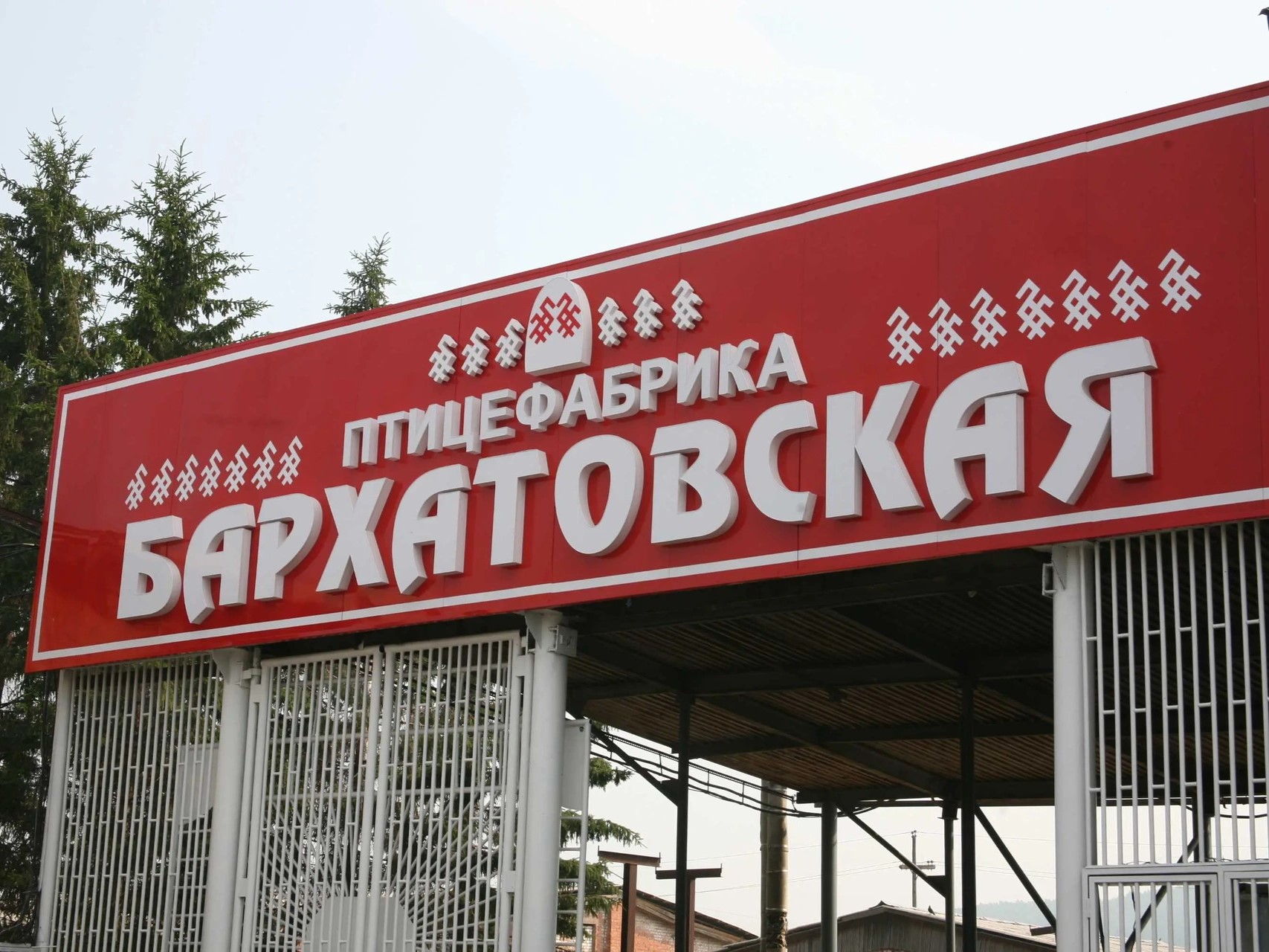 В Красноярском крае на аукцион снова выставлена птицефабрика «Бархатовская»