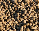 Уборка сахарной свеклы началась в Липецкой обл.