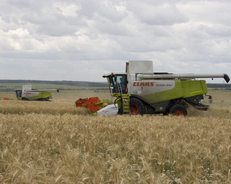 В следующем году урожай зерна в России может снизиться