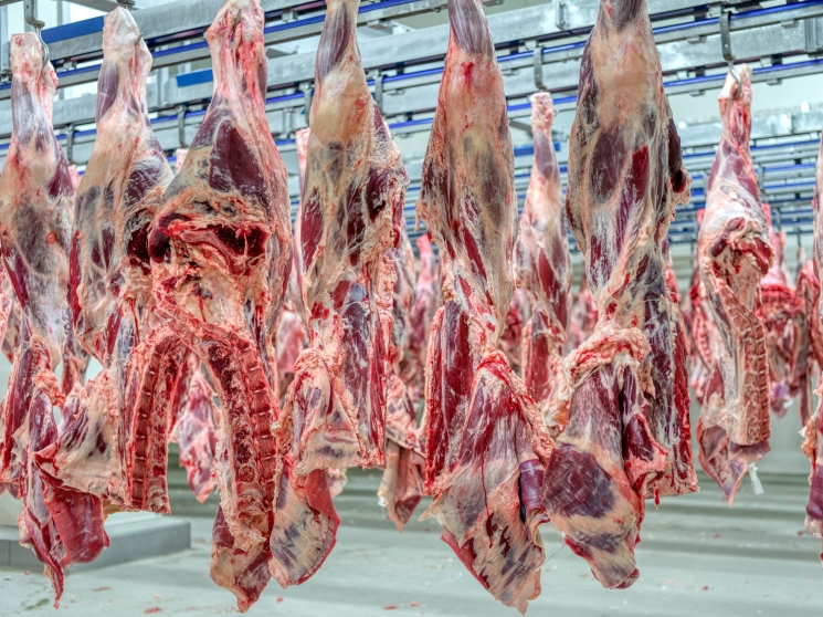 Лидеры снова обогнали рынок. Участники седьмого рейтинга «Агроинвестора» в прошлом году выпустили более 6 млн т мяса