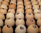Птицефабрика "Боровская" посчитала яйца