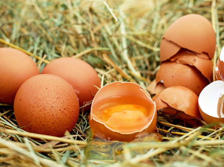 Роль кормовых микродобавок в ресурсосберегающем производстве яиц