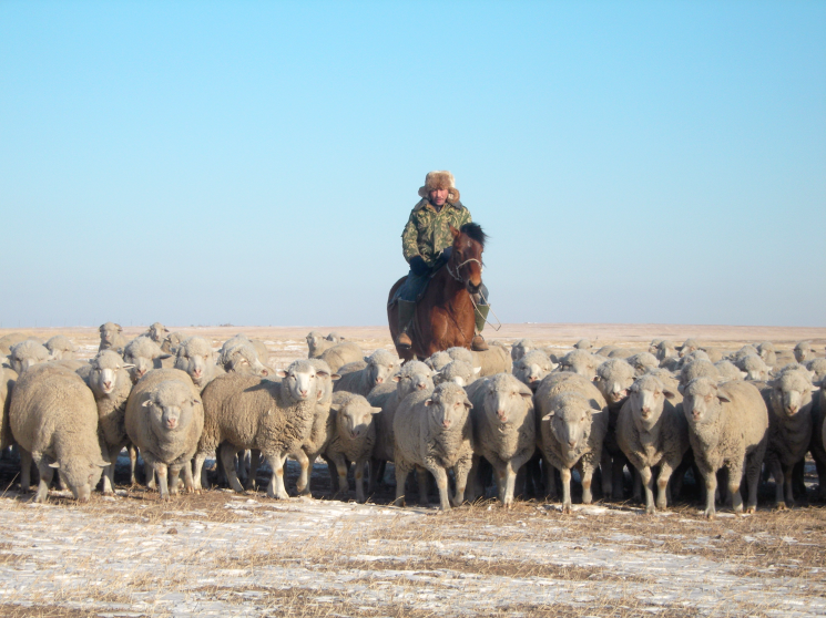 ЛПХ-зависимый агро. 77% сельхозпродукции в Забайкальском крае производят хозяйства населения