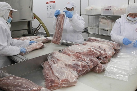 Российские компании планируют экспортировать свинину в Индию