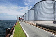 Экспорт зерна в декабре может достигнуть 5,3 млн тонн