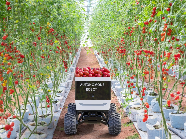 Роботы в аграрной отрасли. Уровень использования новых технологий на российских сельхозпредприятиях остается невысоким