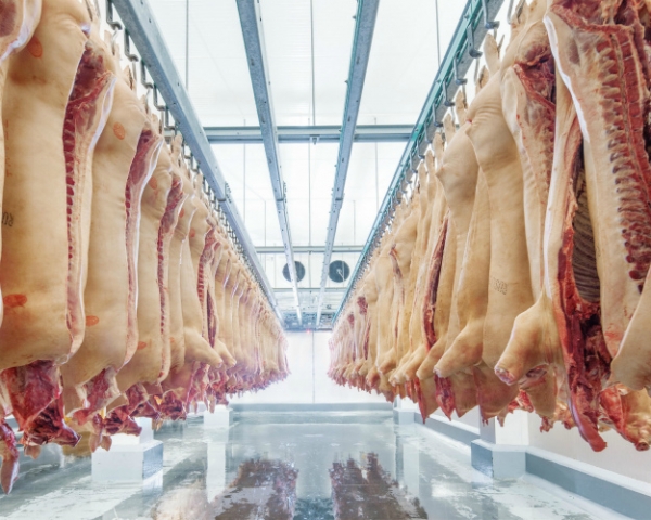 Производство и потребление свинины продолжат расти