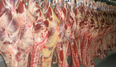 Производство мяса в Воронежской обл. в январе выросло на 20%