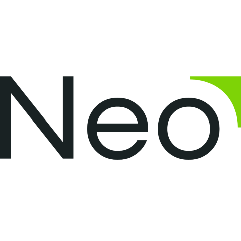 Консалтинговая компания «Neo»
