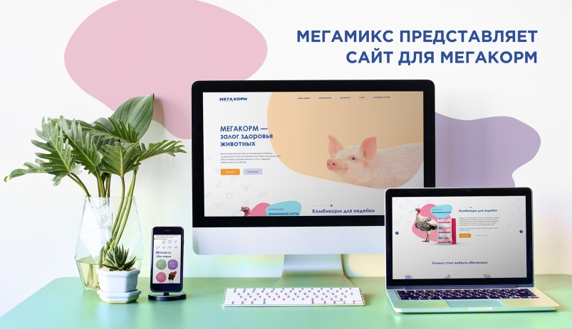 Выбирать корм от «МегаМикс» удобнее на megakorm.ru